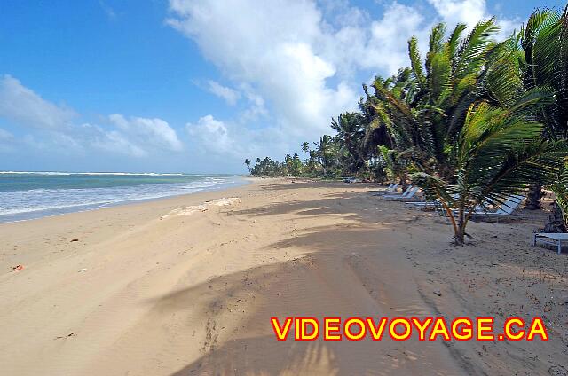 Republique Dominicaine Punta Cana Sivory Una playa de arena marrón, completamente desierta porque muy lejos de otros hoteles y villas.
