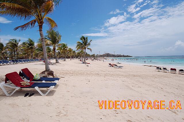 Mexique Puerto Juarez Maya Caribe Beach Algunos árboles en la playa, pero sin paraguas.