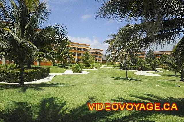 Mexique Riviera Maya Bahia Principe Tulum The vegetation before the buildings.