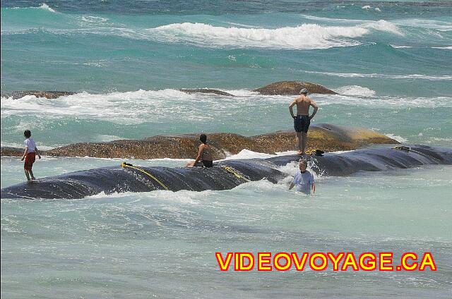 Mexique Riviera Maya Bahia Principe Tulum Some prefer to be behind the retention bags less agitated sea.