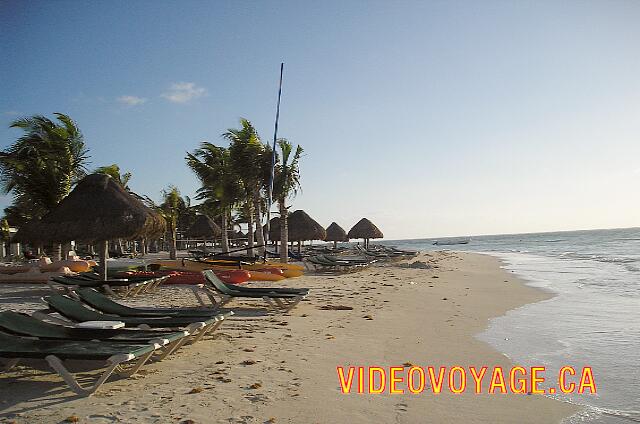 Mexique Riviera Maya Dreams Tulum The terrestrial part of the beach is very beautiful.