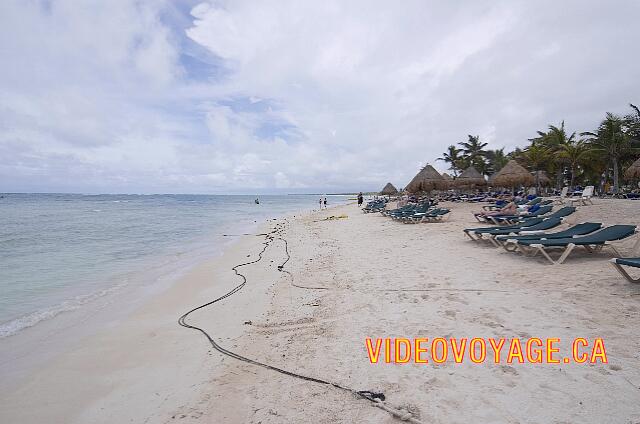 Mexique Riviera Maya Dreams Tulum On the day, there is no algae on the beach deposit.