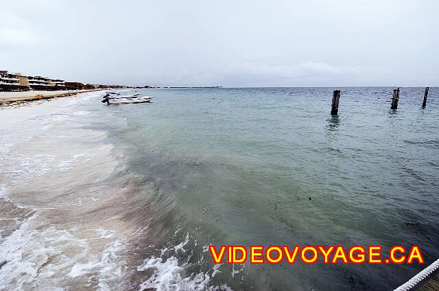 Mexique Puerto Morelos Excellence Riviera Cancun Hay un montón de algas a una corta distancia de la orilla.