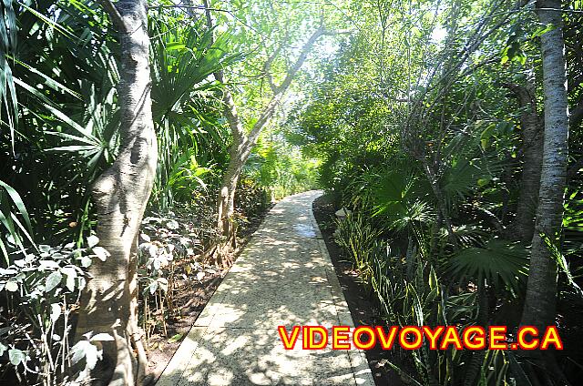 mexique Playa Paraiso paraiso del mar The path to get to the gazebo.