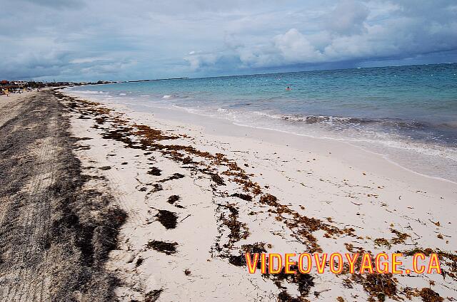 Mexique Puerto Morelos Sapphire Riviera Cancun During rainy days, there are algae that settle on the beach.