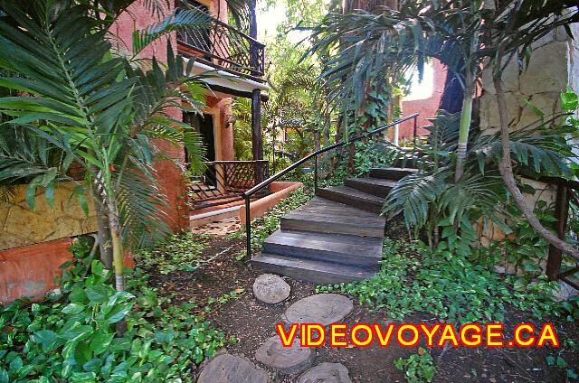 Mexique Playa del Carmen Reef Playacar An atmosphere of jungle around the rooms.