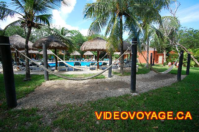 Mexique Playa del Carmen Riu Lupita Hamacas en el borde de la piscina.