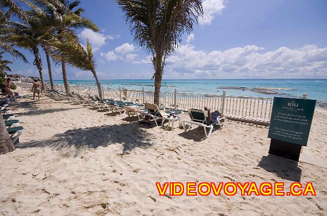 Mexique Playa Del Carmen Palace Riviera Maya On the edge of the wall ...