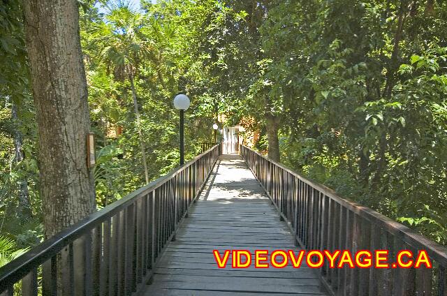 Mexique Playa del Carmen Riu Yucatan A site with a fairly abundant and mature vegetation.