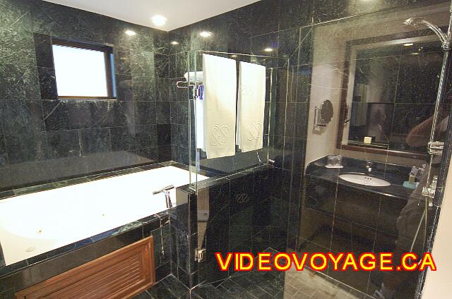 Mexique Riviera Maya Grand Flamenco Xcaret Una ducha y un baño grande