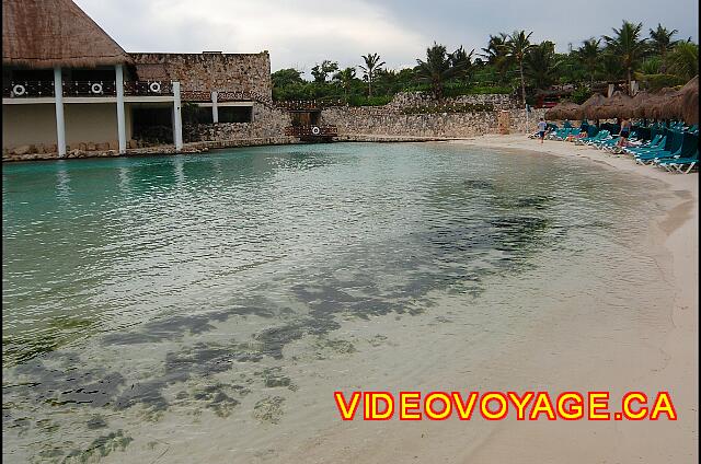 Mexique Riviera Maya Grand Flamenco Xcaret The little seaweed facing the bar.