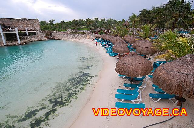 Mexique Riviera Maya Grand Flamenco Xcaret A translucent water. Near the restaurant there is a little fish.