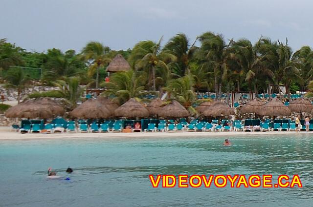 Mexique Riviera Maya Grand Flamenco Xcaret Some of the customers who, snorkeling near the restaurant.