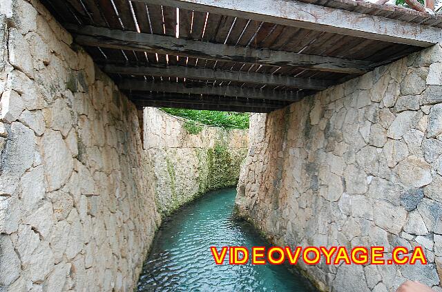 Mexique Riviera Maya Grand Flamenco Xcaret The fish seem attracted to this channel near the restaurant.