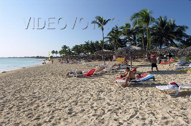 Cuba Santa Lucia Brisas Santa Lucia Des palmiers sur le bord de la plage.