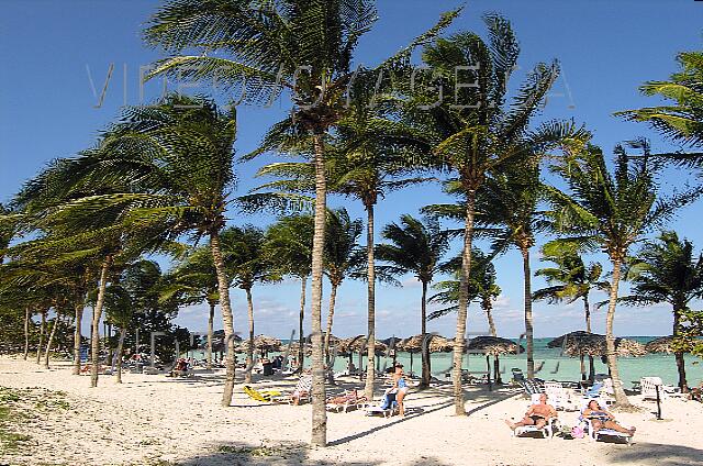 Cuba Santa Lucia Brisas Santa Lucia Des palmiers sur la plage, comme à Punta Cana... plutôt rare à Cuba.