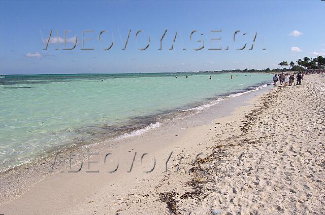 Cuba Santa Lucia Brisas Santa Lucia Une bande de 100 mètres sans algues dans la mer. Un dépot d'algue sur la plage