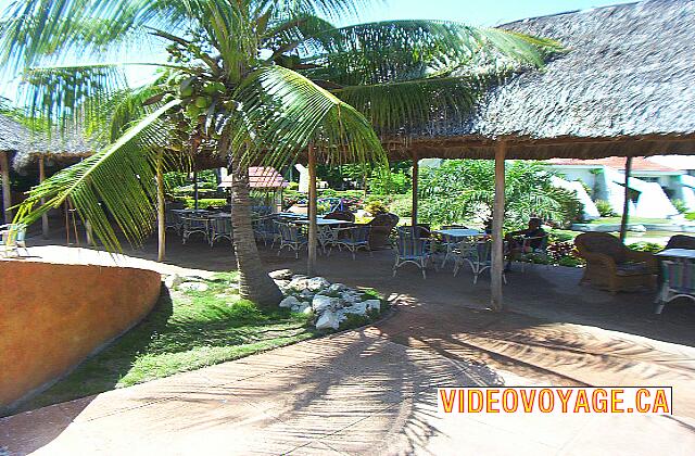 Cuba Santa Lucia Gran Club Santa Lucia cerca del bar de la piscina.