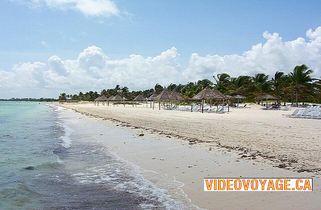 Cuba Santa Lucia Gran Club Santa Lucia Al este del muelle, después de limpiar la playa. Hay las algas en suspensión en el borde del mar.