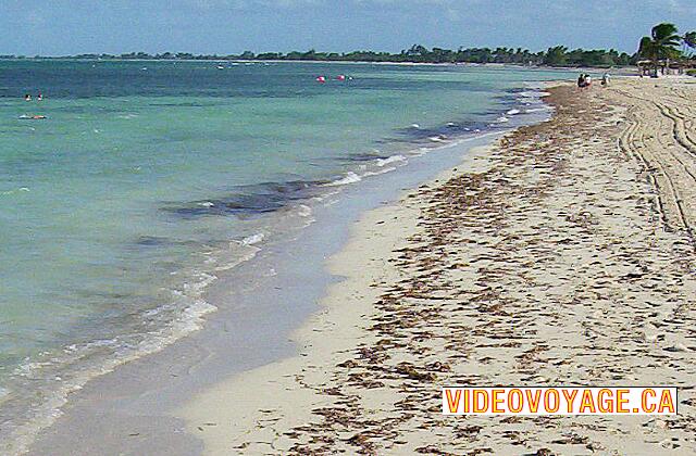 Cuba Santa Lucia Gran Club Santa Lucia Zonas verdes oscuras son las algas en suspensión.