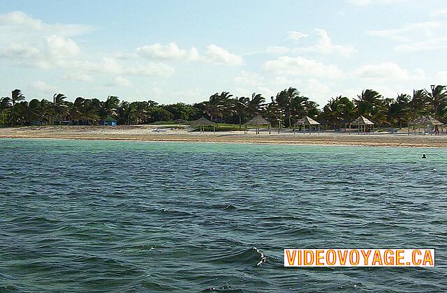 Cuba Santa Lucia Gran Club Santa Lucia En más de 100 metros de la orilla, hay una gran cantidad de algas en el fondo del mar.