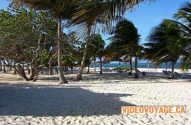 Cuba Santa Lucia Gran Club Santa Lucia La playa de arena sigue profundamente tierra adentro.