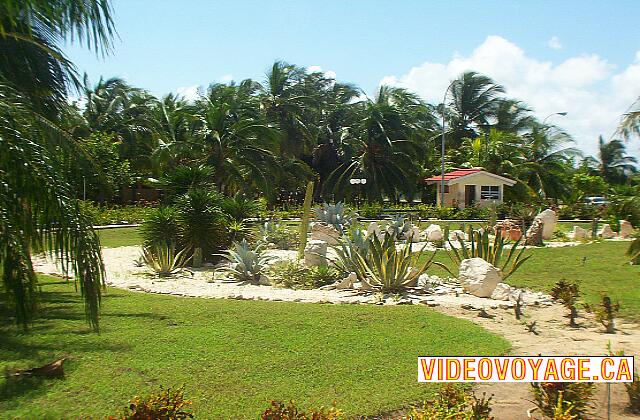 Cuba Santa Lucia Gran Club Santa Lucia The landscaping at the front of the hotel.