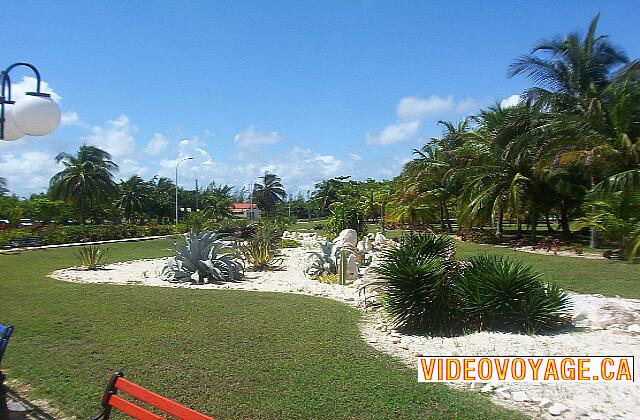 Cuba Santa Lucia Gran Club Santa Lucia Another portion of the landscaping.