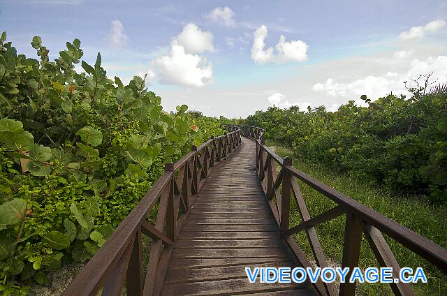 Cuba Cayo Santa Maria Husa Cayo Santa Maria Un des chemins pour accéder à la plage, des trottoires permettent de protéger la faune et flore en bordure de la plage.