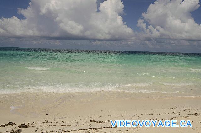 Cuba Cayo Santa Maria Husa Cayo Santa Maria Peu d'algue, pas de récif, une eau translucide, de petites à moyennes vagues.