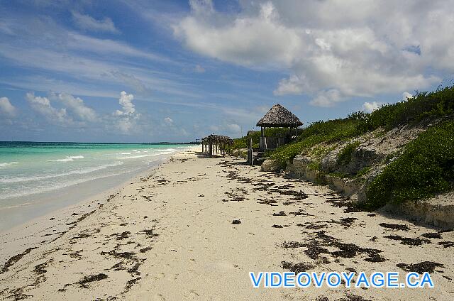 Cuba Cayo Santa Maria Husa Cayo Santa Maria En temporada baja hay pocos clientes, una gran parte de la playa no está vacía ...