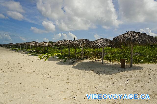 Cuba Cayo Santa Maria Husa Cayo Santa Maria Para los amantes de la paz