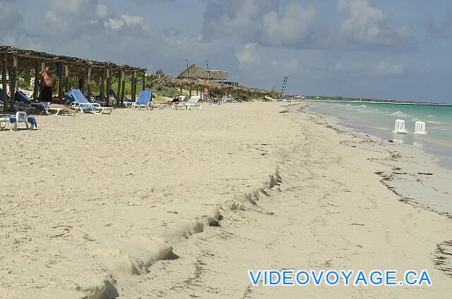 Cuba Cayo Santa Maria Husa Cayo Santa Maria Peu de dépot d'algue sur la plage et une petite bosse est formé par les vagues.