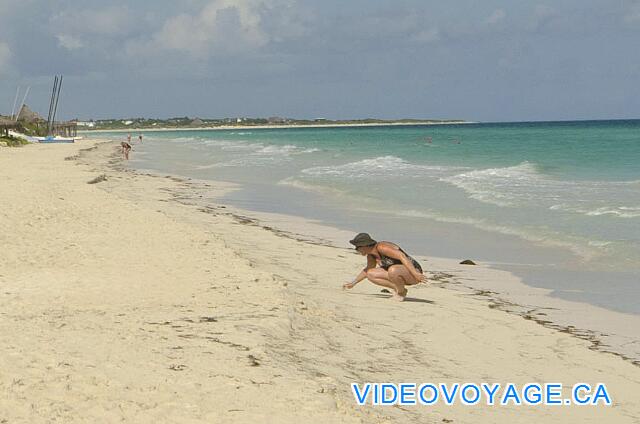 Cuba Cayo Santa Maria Husa Cayo Santa Maria La petite bosse formé par les vagues peut être plus grosse à certains endroits et selon la période de l'année.