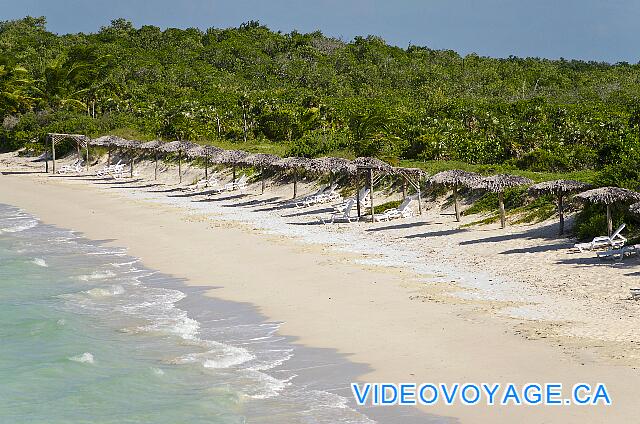 Cuba Cayo Santa Maria Villa Las Brujas Un grand nombre de palapas