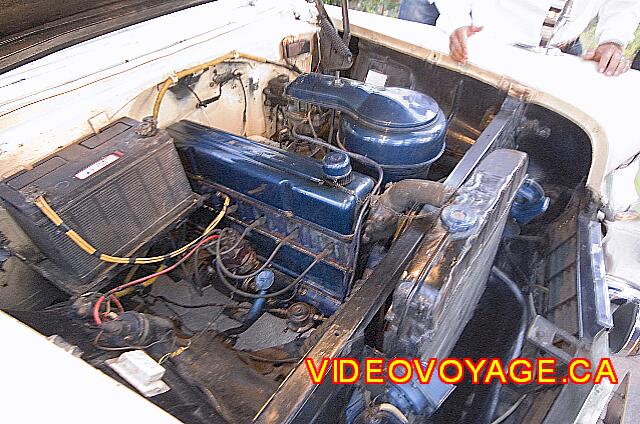 Cuba Cayo Santa Maria Melia Las Dunas Some want to watch the engine ....
