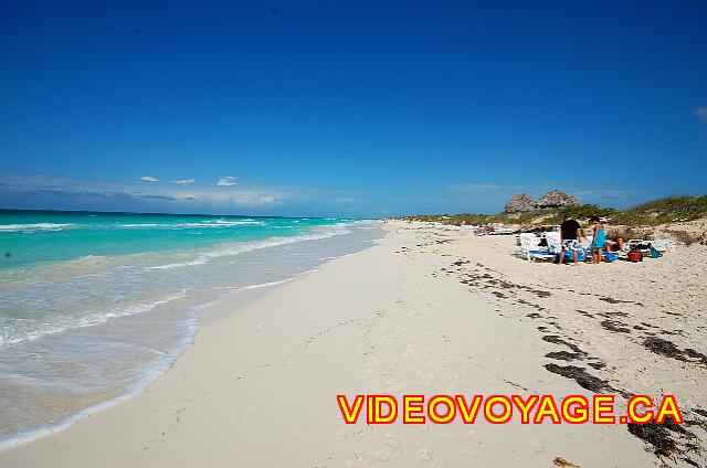 Cuba Cayo Santa Maria Melia Las Dunas In the morning, he can have a bit of seaweed on the beach deposit, but no more.