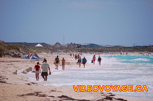 Cuba Cayo Santa Maria Melia Las Dunas Many walkers on the beach.