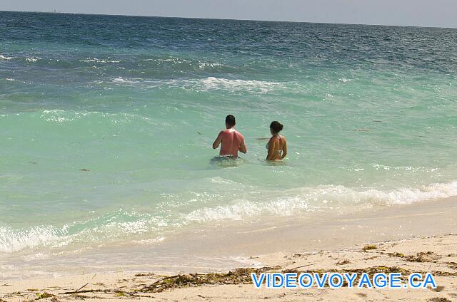 Cuba Cayo Santa Maria Melia Buenavista Entrada en el mar con una pendiente media, un alga sin fondo para los primeros 70 metros, pero hay un depósito de algas en la playa, no hay arrecife.