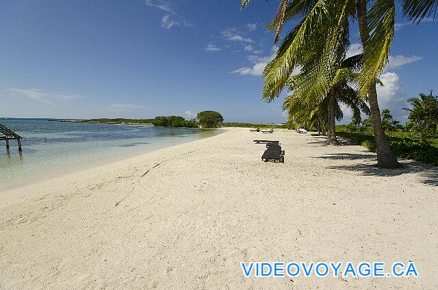 Cuba Cayo Santa Maria Melia Buenavista A shallow beach without palapas, a few chairs, trees on the edge that provides shade in the afternoon.