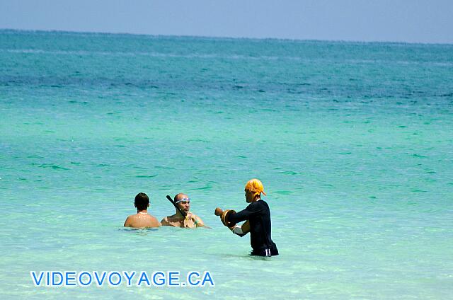 Cuba Cayo Santa Maria Memories Azul / Paraiso Un poco más al este del hotel, se hundió el buceo puede ver algunos peces.