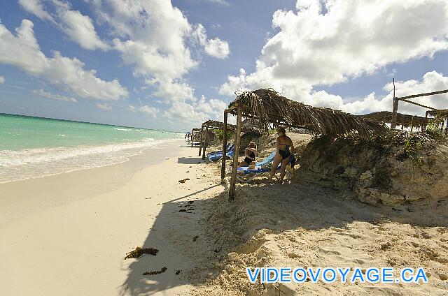 Cuba Cayo Santa Maria Playa Cayo Santa Maria The palapas on the beach