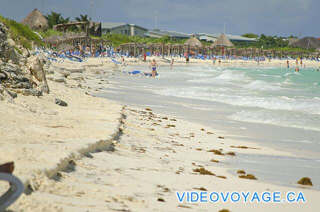 Cuba Cayo Santa Maria Playa Cayo Santa Maria Sometimes some algae deposits on the beach no more.