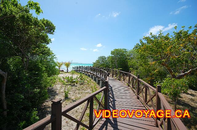 Cuba Cayo Santa Maria Iberostar Ensenachos El acceso a la playa Ensechanos. La playa Ensechanos más de 800 metros del Lobby.