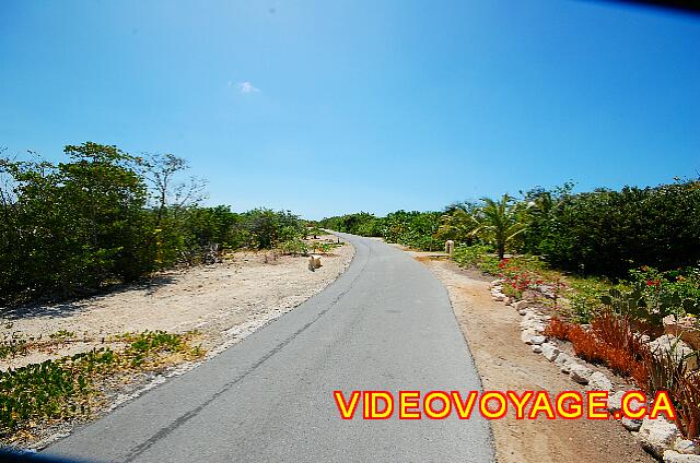 Cuba Cayo Santa Maria Iberostar Ensenachos Le long chemin entre la section principale et la section Royal. De nombreuses voiturettes font le parcour régulièrement.