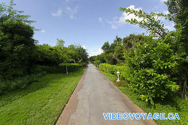 Cuba Cayo Santa Maria Iberostar Ensenachos The paths to get to the rooms.