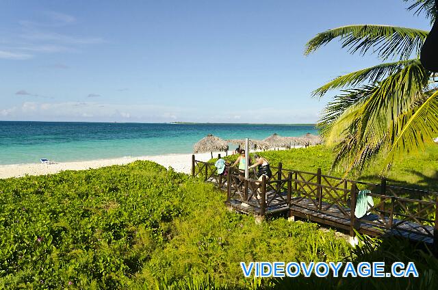 Cuba Cayo Santa Maria Iberostar Ensenachos En cada punto de acceso, hay una larga barra y sillas. En medio de la playa está desierta porque demasiado tiempo para el número de clientes.