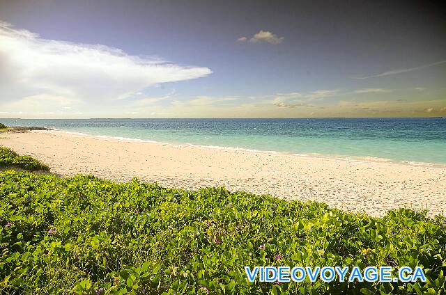 Cuba Cayo Santa Maria Iberostar Ensenachos El extremo occidental de la playa Ensenachos está desierta.