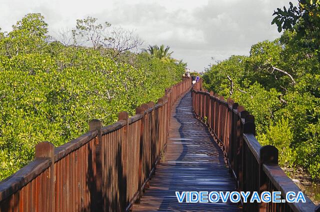 Cuba Cayo Santa Maria Iberostar Ensenachos Un long trottoire en bois pour se rendre à la plage.