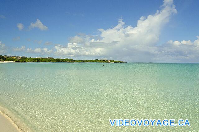 Cuba Cayo Santa Maria Iberostar Ensenachos No algae in all the swimming area!